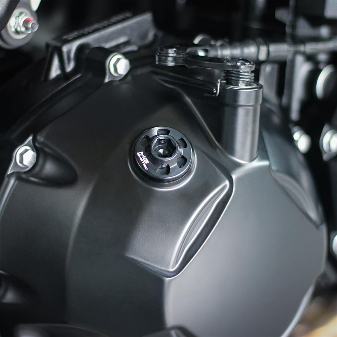 oil filler cap insitu